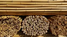 Bamboo Stake bundles
